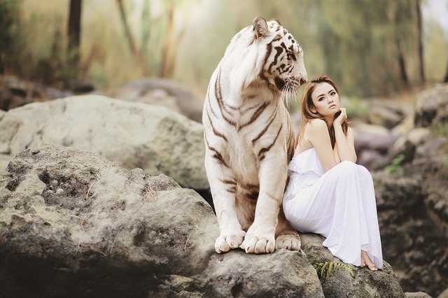 Woman sitting with tiger