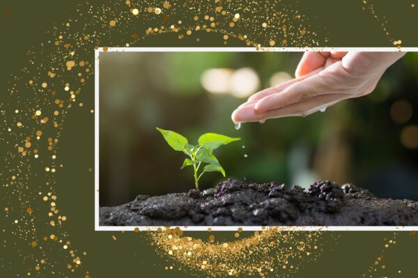 Nourish: The Soulful Act of Coming Back to Life