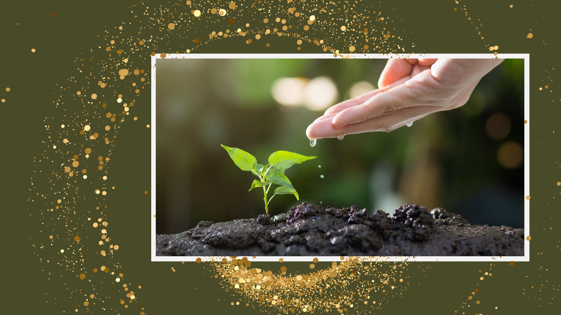 Read more about the article Nourish: The Soulful Act of Coming Back to Life
