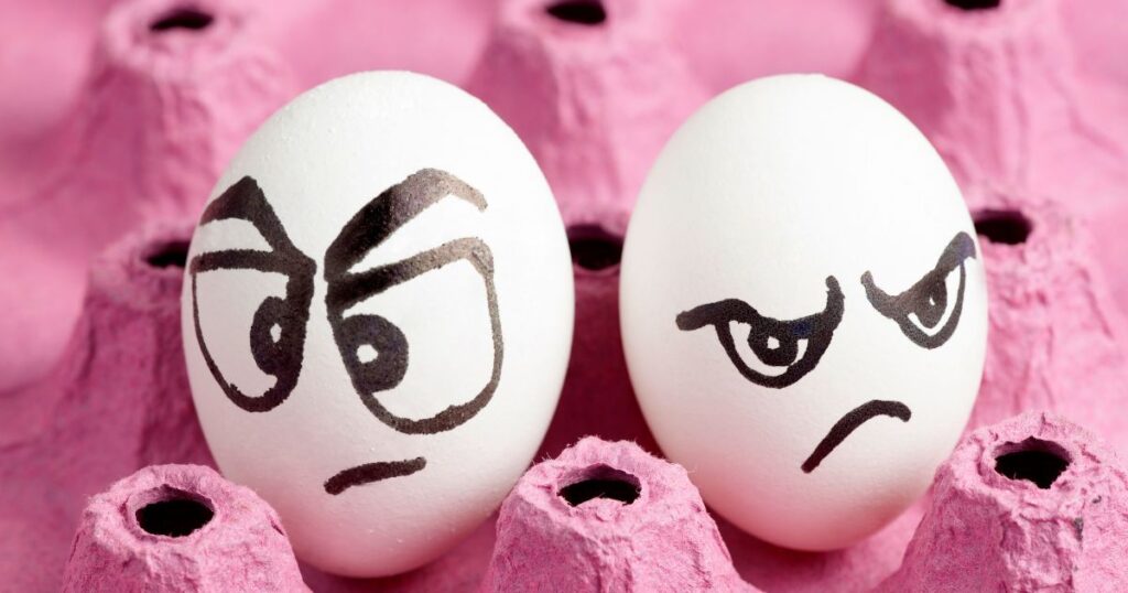 Funny picture of eggs with offended faces drawn on